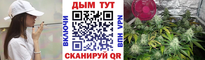 Шишки марихуана сатива  Купить  Богородицк 